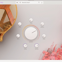 Arturia Augmented Strings v1.0 Arturia Augmented Strings v1.0