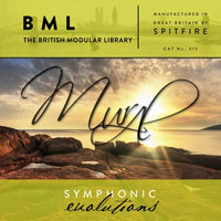 BML Mural Symphonic Evolutions BML Mural Symphonic Evolutions