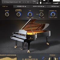 Bechstein Digital C Bechstein Digital Grand v1.1.0 Bechstein Digital C Bechstein Digital Grand v1.1.0