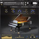 Bechstein Digital C Bechstein Digital Grand Bechstein Digital C Bechstein Digital Grand