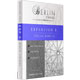 Berlin Strings EXP B - Special Bows II v2.1 Berlin Strings EXP B - Special Bows II v2.1