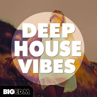Big EDM Deep House Vibes Big EDM Deep House Vibes