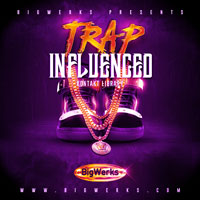BigWerks Trap Influenced BigWerks Trap Influenced
