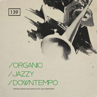 Bingoshakerz Organic Jazzy Downtempo Bingoshakerz Organic Jazzy Downtempo