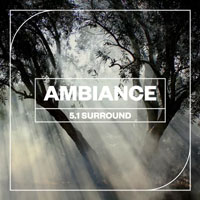 Blastwave FX - Ambiance 5.1 Surround Blastwave FX - Ambiance 5.1 Surround