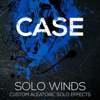 CASE Solo Woodwinds FX CASE Solo Woodwinds FX