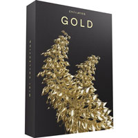 Cymatics Gold MIDI Collection + Bonus Cymatics Gold MIDI Collection + Bonus