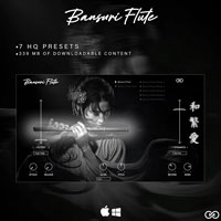 Infinite Audio Bansuri Flute Infinite Audio Bansuri Flute