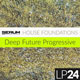 LP24 House Foundations for Serum LP24 House Foundations for Serum