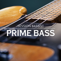 Native Instruments Session Bassist Prime Bass Native Instruments Session Bassist Prime Bass