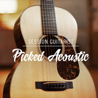 Session Guitarist Picked Acoustic Session Guitarist Picked Acoustic