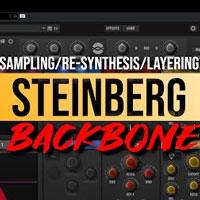 Steinberg BackBone Steinberg BackBone