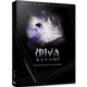Diva Revamp Diva Revamp